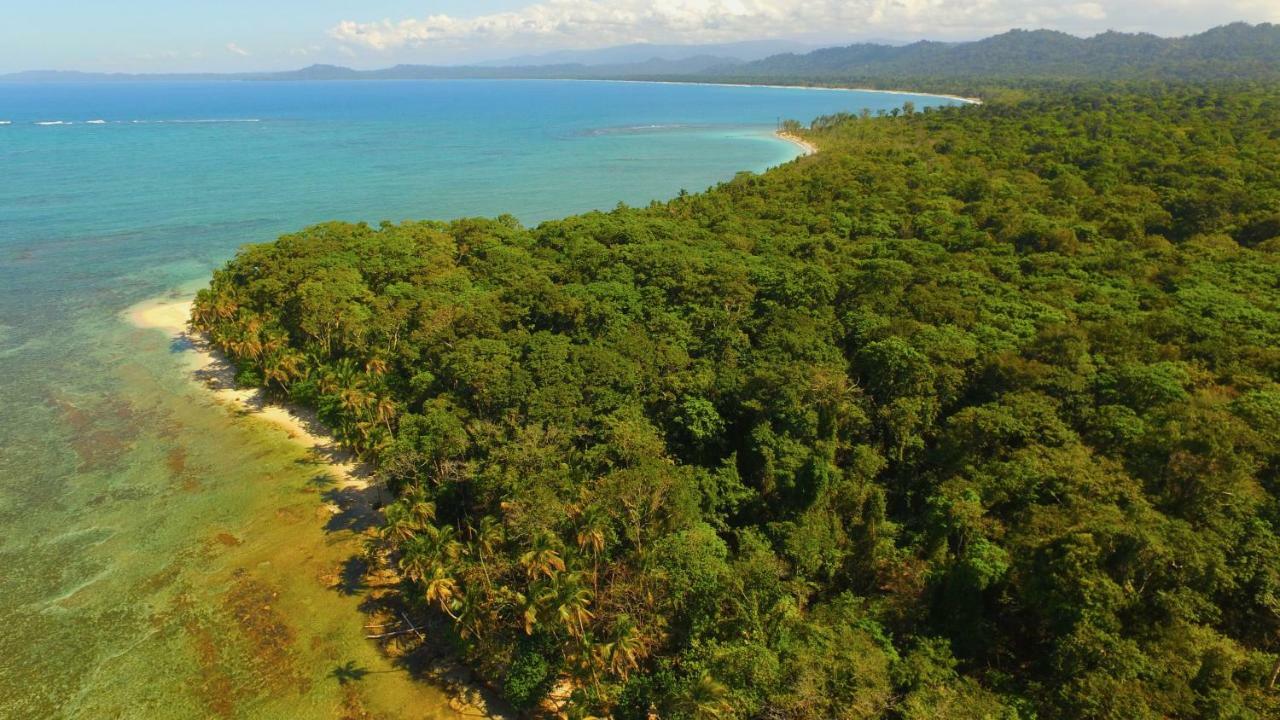 Lilan Nature, Modern House N°1, Private Swimming Pool. Cahuita Bagian luar foto